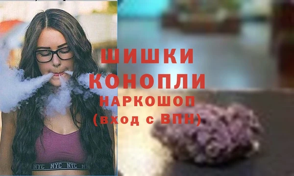 прущие грибы Богородск