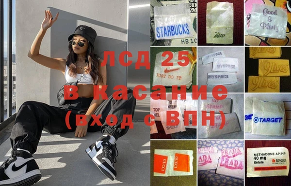 стафф Богданович