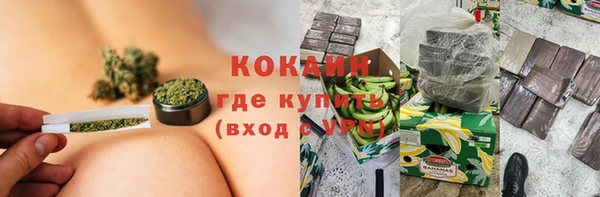 индика Богородицк