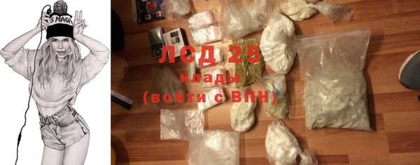 индика Богородицк