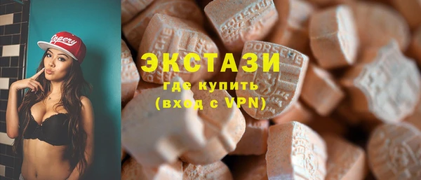 индика Богородицк