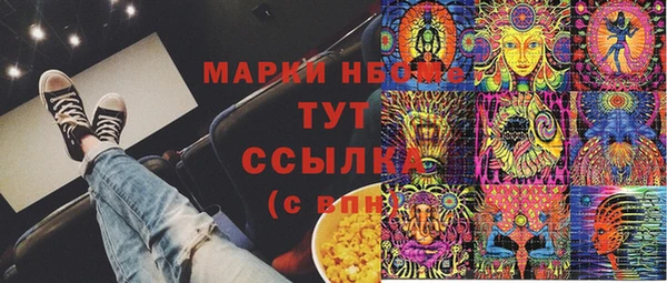 прущие грибы Богородск