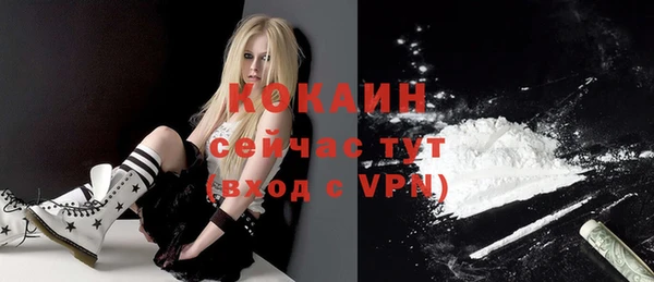 стафф Богданович