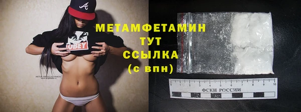 прущие грибы Богородск