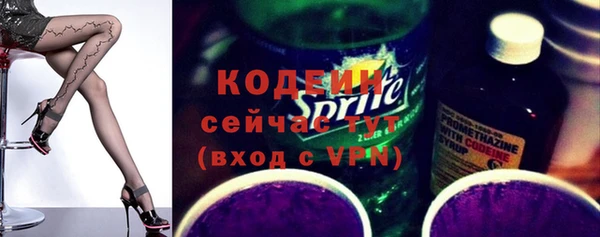 индика Богородицк