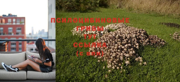 стафф Богданович