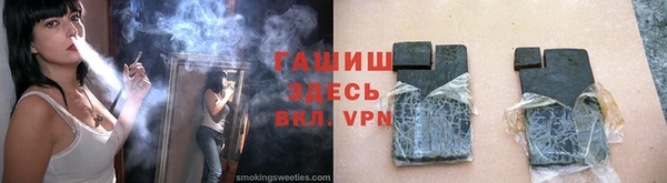 индика Богородицк