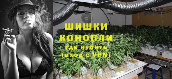 индика Богородицк