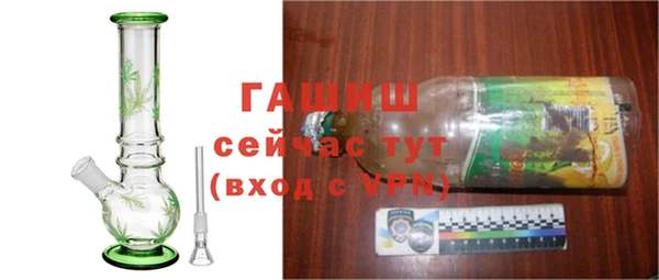 стафф Богданович