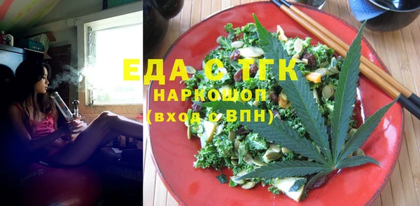 индика Богородицк