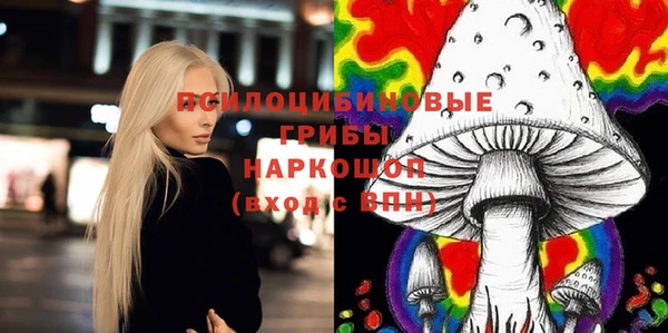 стафф Богданович