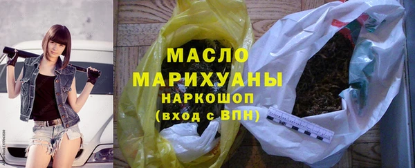 индика Богородицк