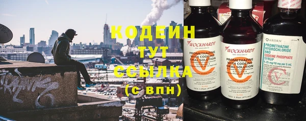индика Богородицк