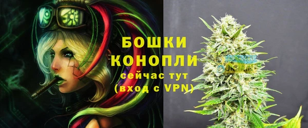 стафф Богданович
