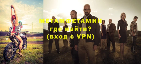 индика Богородицк