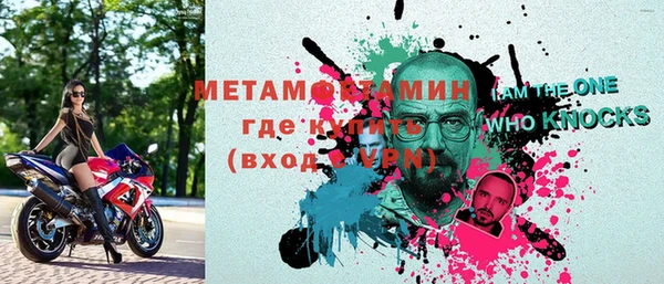 индика Богородицк
