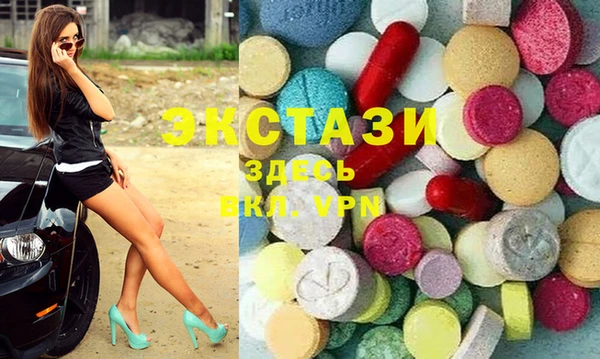 индика Богородицк