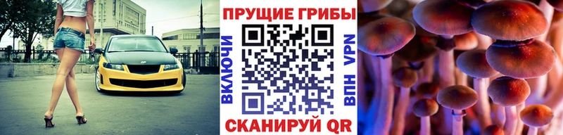 Галлюциногенные грибы прущие грибы Невельск